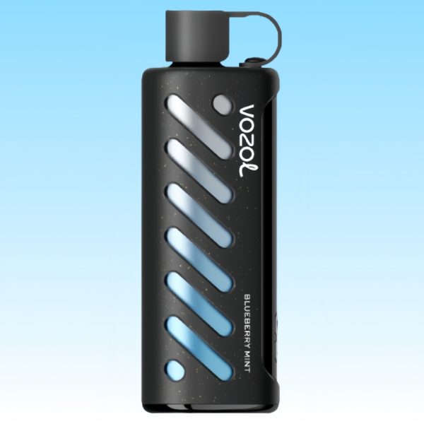 Vozol Gear Shisha Blueberry Mint Smaak - Vozol Vape Nederland Vozol Gear Shisha Blueberry Mint Smaak - Vozol Vape Nederland