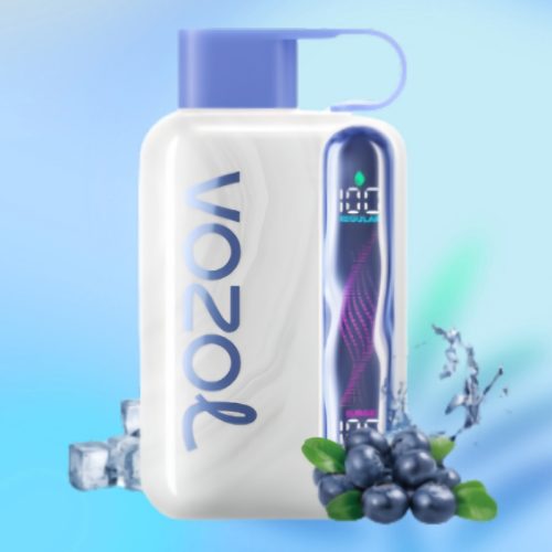 Vozol Star 40000 Blueberry Ice Smaak - Vozol Vape Nederland Vozol Star 40000 Blueberry Ice Smaak - Vozol Vape Nederland