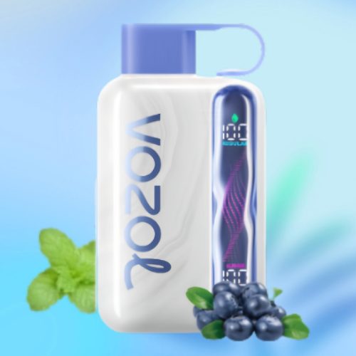 Vozol Star 40k Blueberry Mint Smaak - Vozol Vape Nederland Vozol Star 40k Blueberry Mint Smaak - Vozol Vape Nederland
