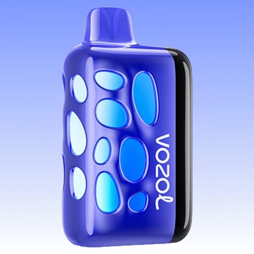Vozol Rave 40000 Blueberry Ice Smaak - Vozol Vape Nederland Vozol Rave 40000 Blueberry Ice Smaak - Vozol Vape Nederland