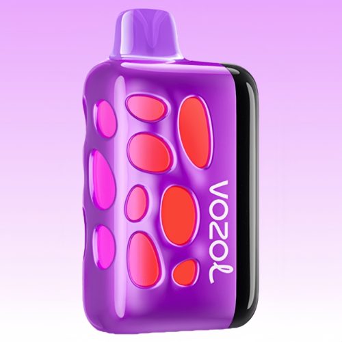 Vozol Rave 40000 Grape Ice Smaak - Vozol Vape Nederland Vozol Rave 40000 Grape Ice Smaak - Vozol Vape Nederland