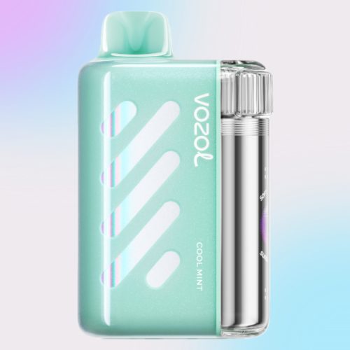 Vozol Vista 40000 Cool Mint Smaak - Vozol Vape Nederland Vozol Vista 40000 Cool Mint Smaak - Vozol Vape Nederland